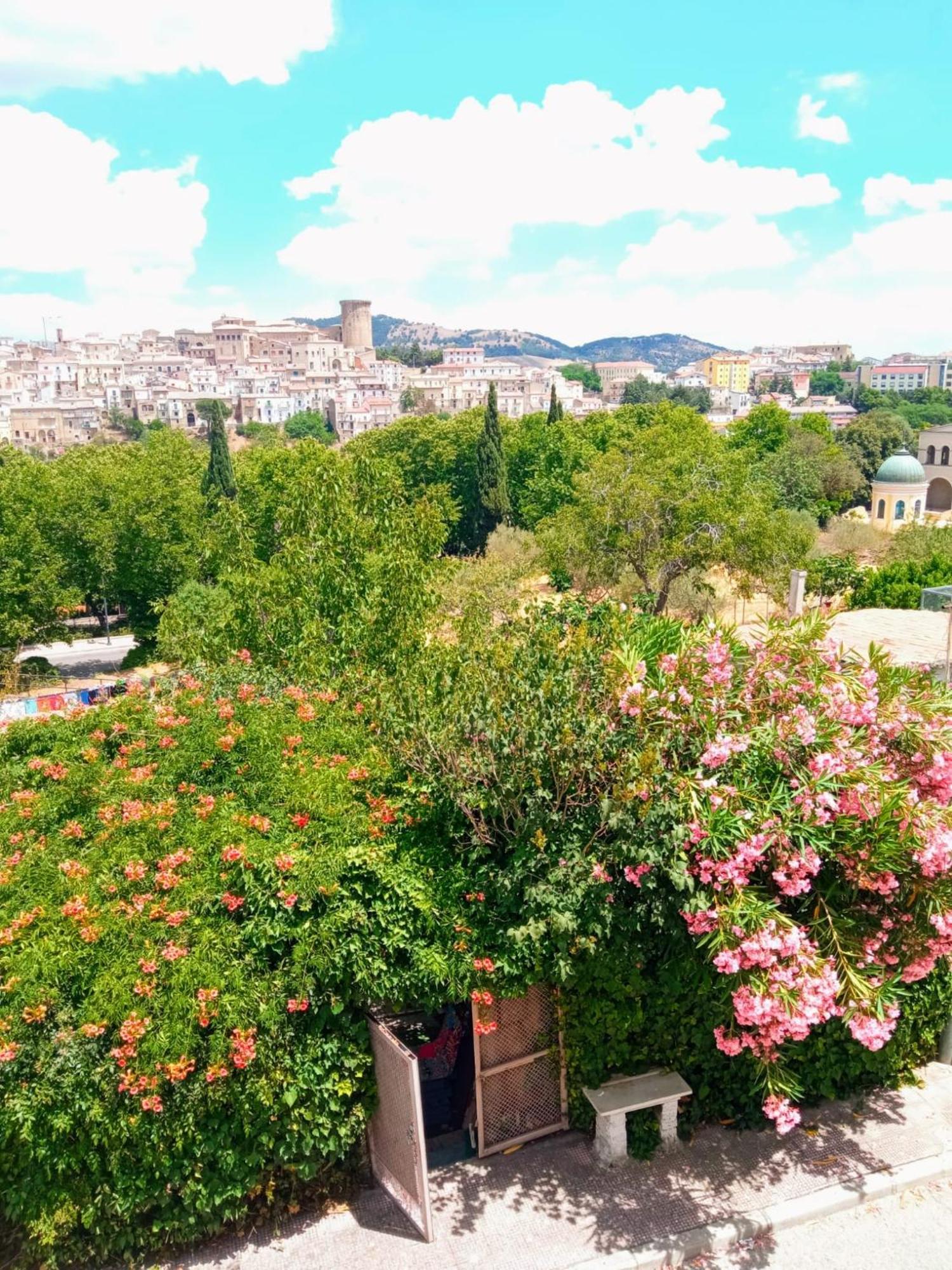 Comfort, Parcheggio E Balcone Su Tricarico In Basilicata, Io Sono Qui Buitenkant foto